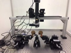 Optical Fiber Coupling System